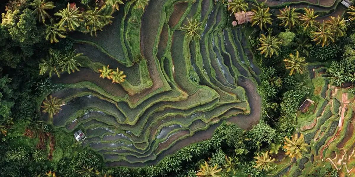 World x Change - Case Study Cover